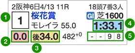 図: 競走成績の切り替えボタンのイメージ